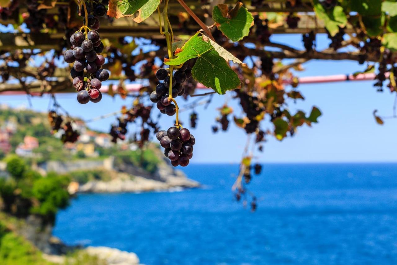 Frau Guler Boutique Hotel Amasra Eksteriør billede